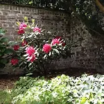 Am Hofgarten 3* Dusseldorf