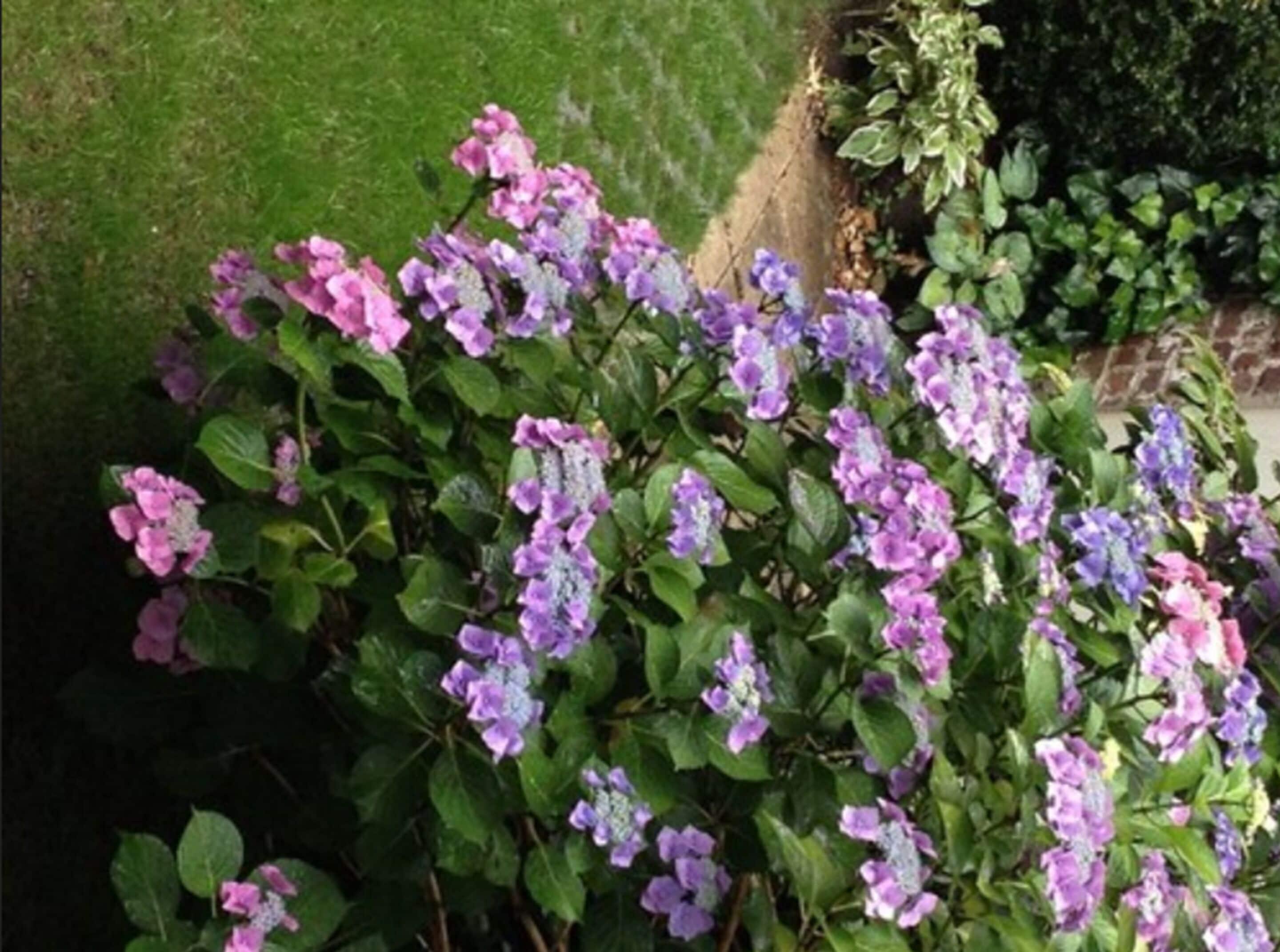 Am Hofgarten Düsseldorf