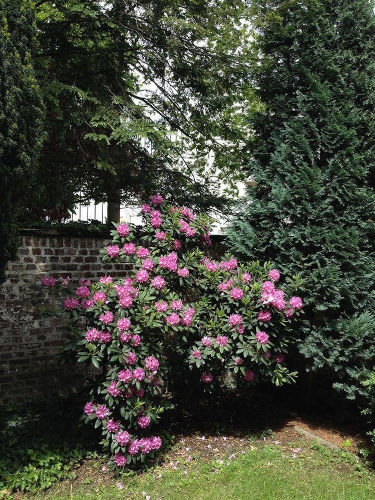 Hotel Am Hofgarten 3*